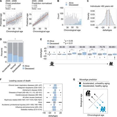 Biological Age Prediction From Wearable Device Movement Data Identifies Nutritional and Pharmacological Interventions for Healthy Aging